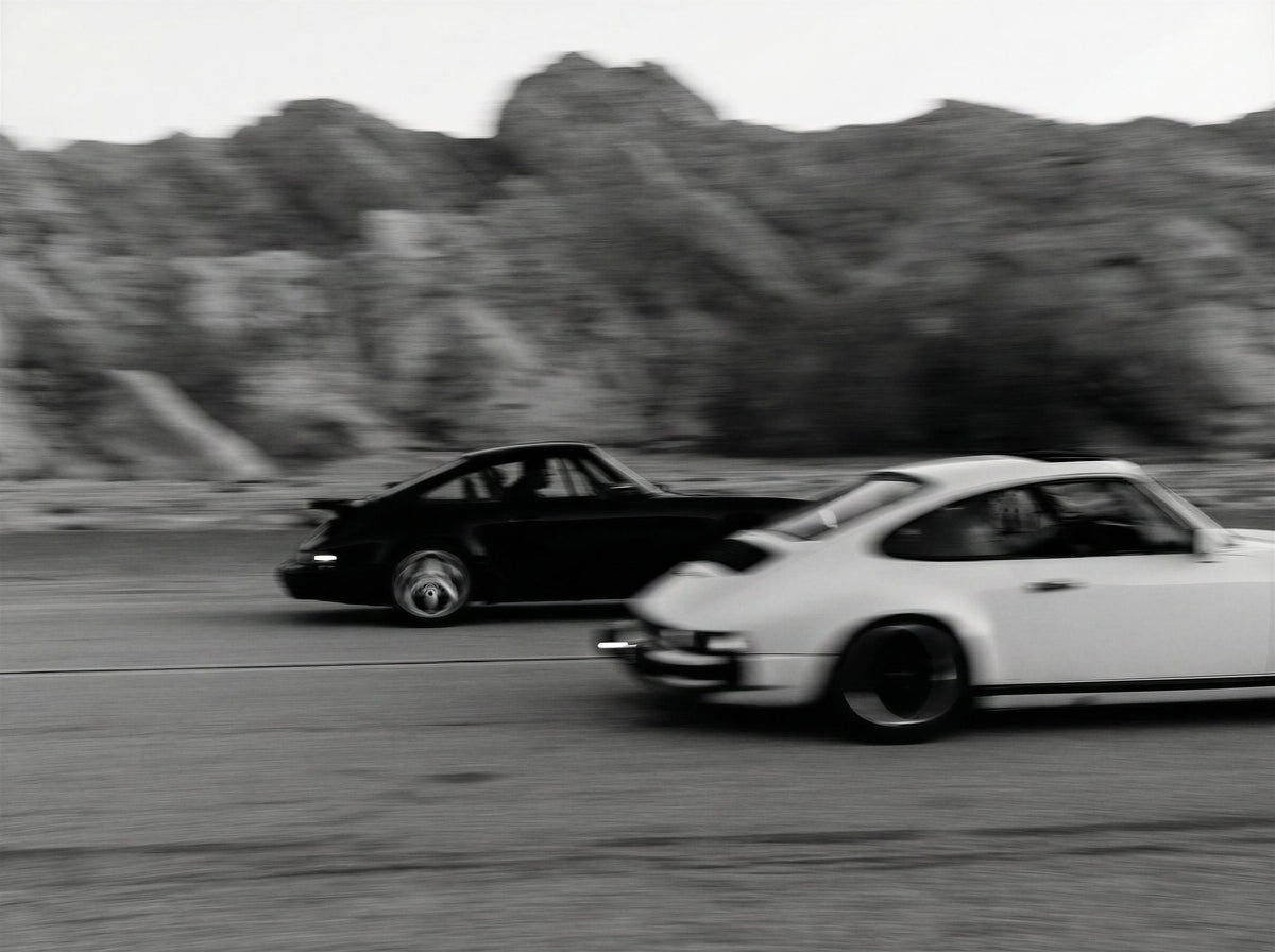 Canyon Duel