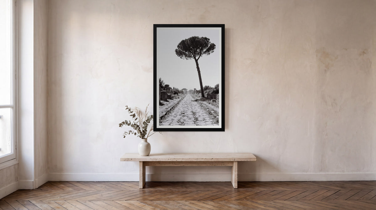 Appia, framed in black with a white mat on a wall at home