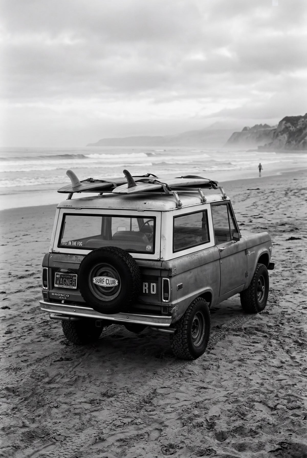 Bronco at Dawn